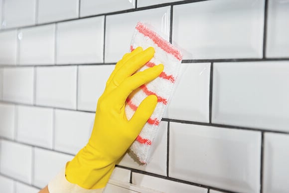 Vileda Professional Hand Pad Brush — fabrikantbeeld productfamilie